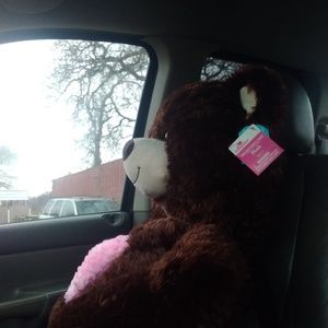 Meet your Posher, Roy